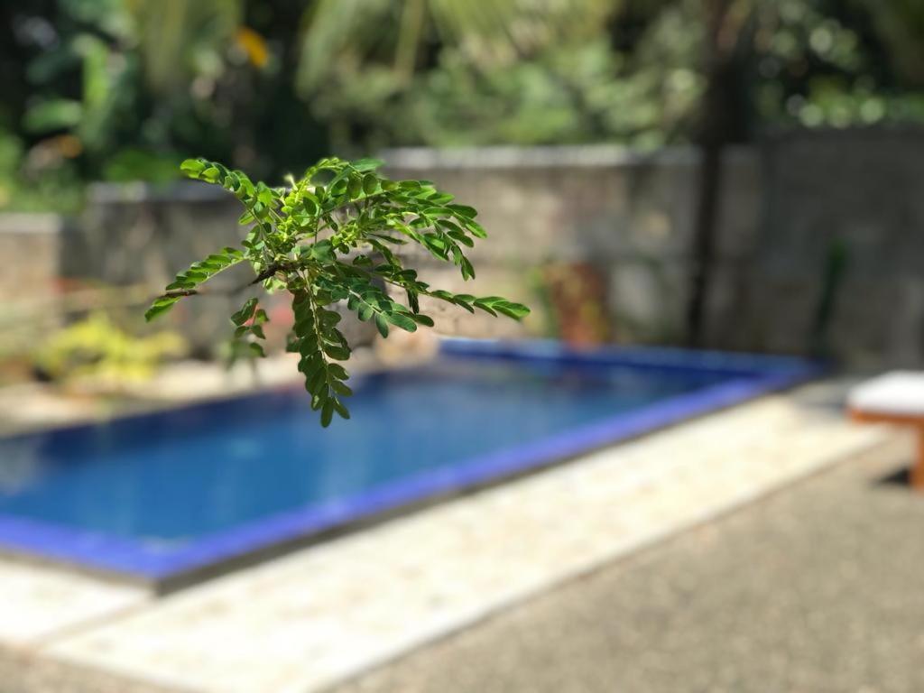 Peaceful Green Villa Unawatuna Luaran gambar